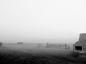 Whittlesey Early Morning Mist
